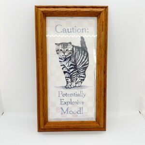 Vintage Figi Graphics Framed Cat Print Explosive Mood Art